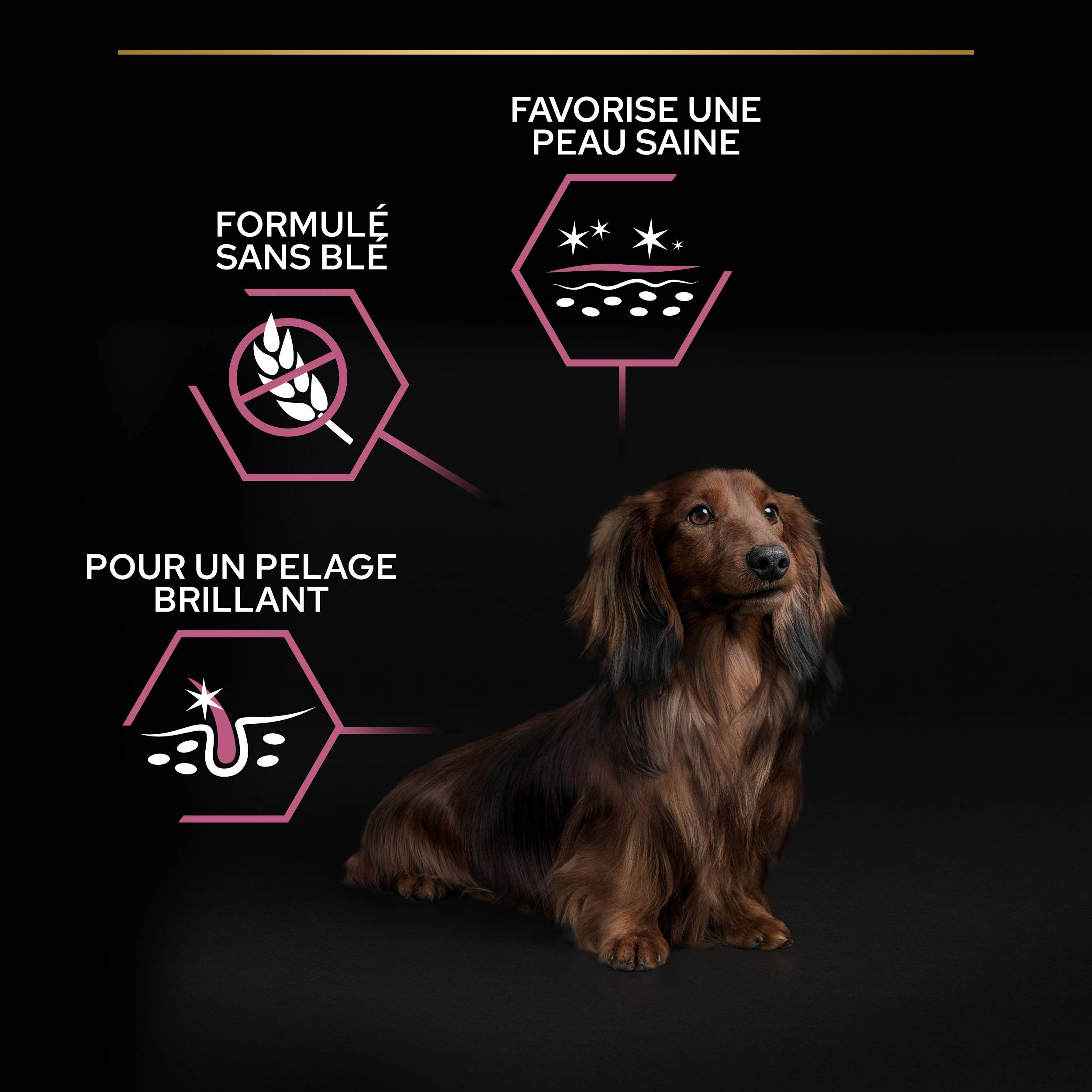 Purina Pro Plan - Croquettes chien Adulte Peau Sensible Saumon 3 kg - PRO PLAN - Image 9