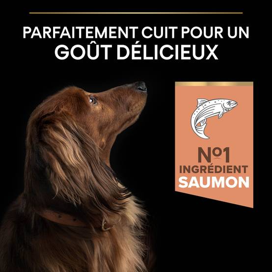 Purina Pro Plan - Croquettes chien Adulte Peau Sensible Saumon 3 kg - PRO PLAN - Image 14