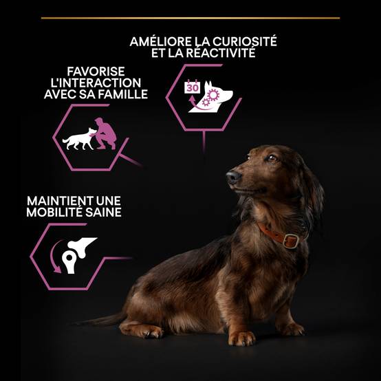 Purina Pro Plan - Croquettes petit chien Adulte 9+ Poulet 3KG - PRO PLAN - Image 5