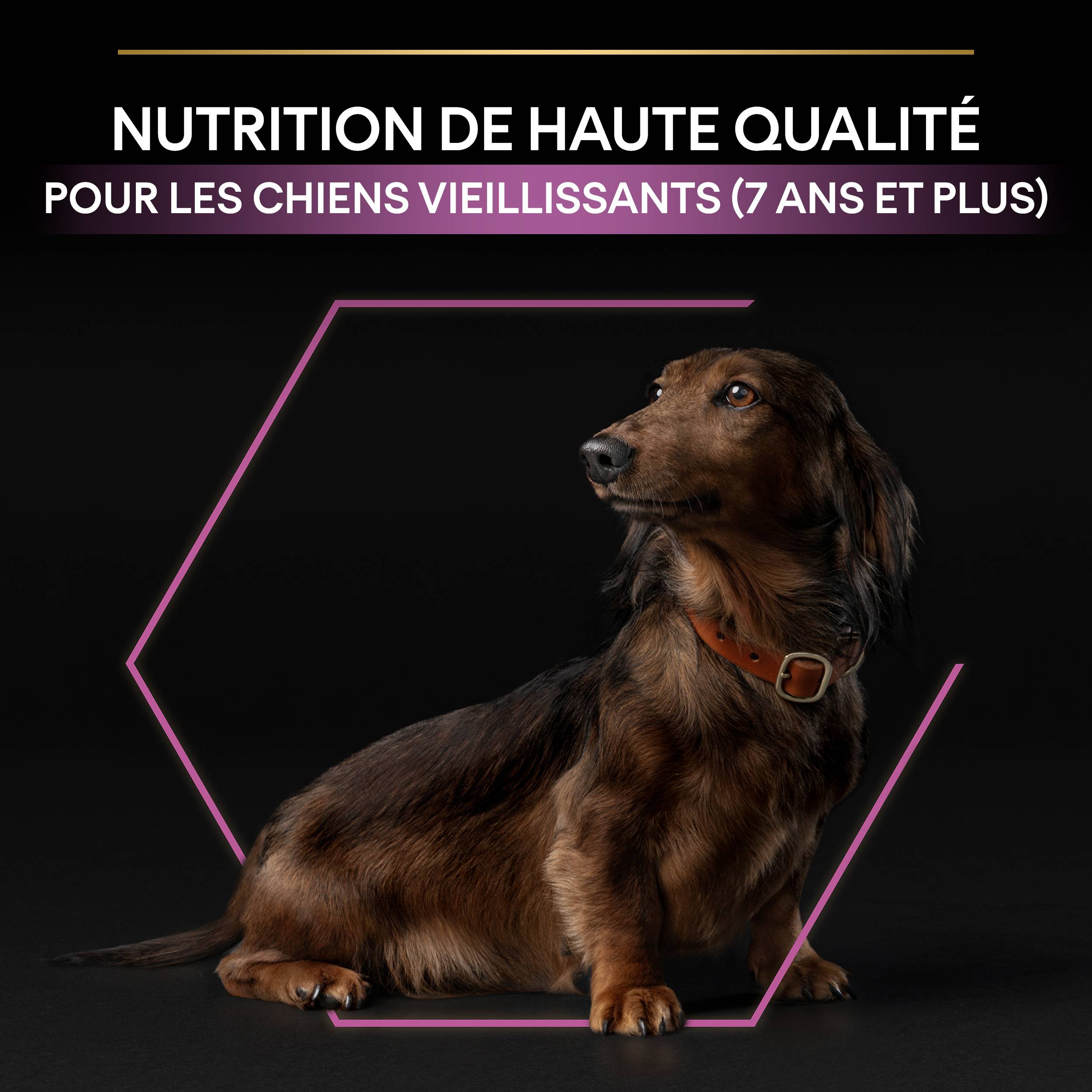 Purina Pro Plan - Croquettes petit chien Adulte 9+ Poulet 3KG - PRO PLAN - Image 8
