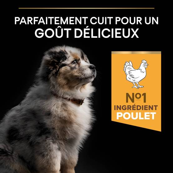 Purina Pro Plan - Croquettes chiot Medium 12 kg - PRO PLAN - Image 3