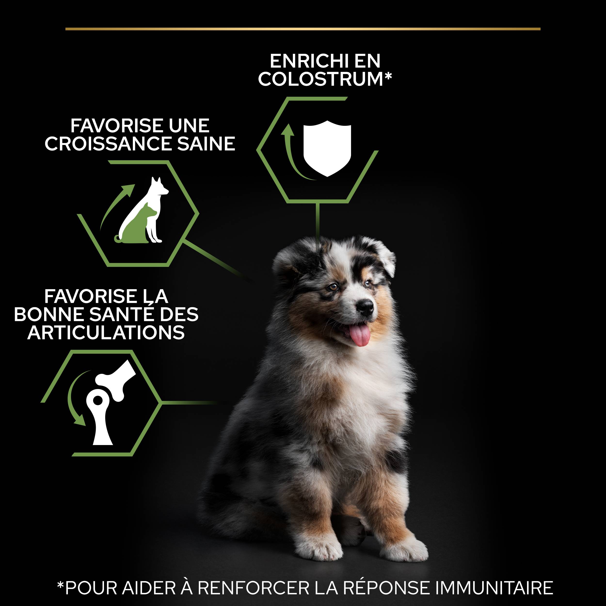 Purina Pro Plan - Croquettes chiot Medium 12 kg - PRO PLAN - Image 4