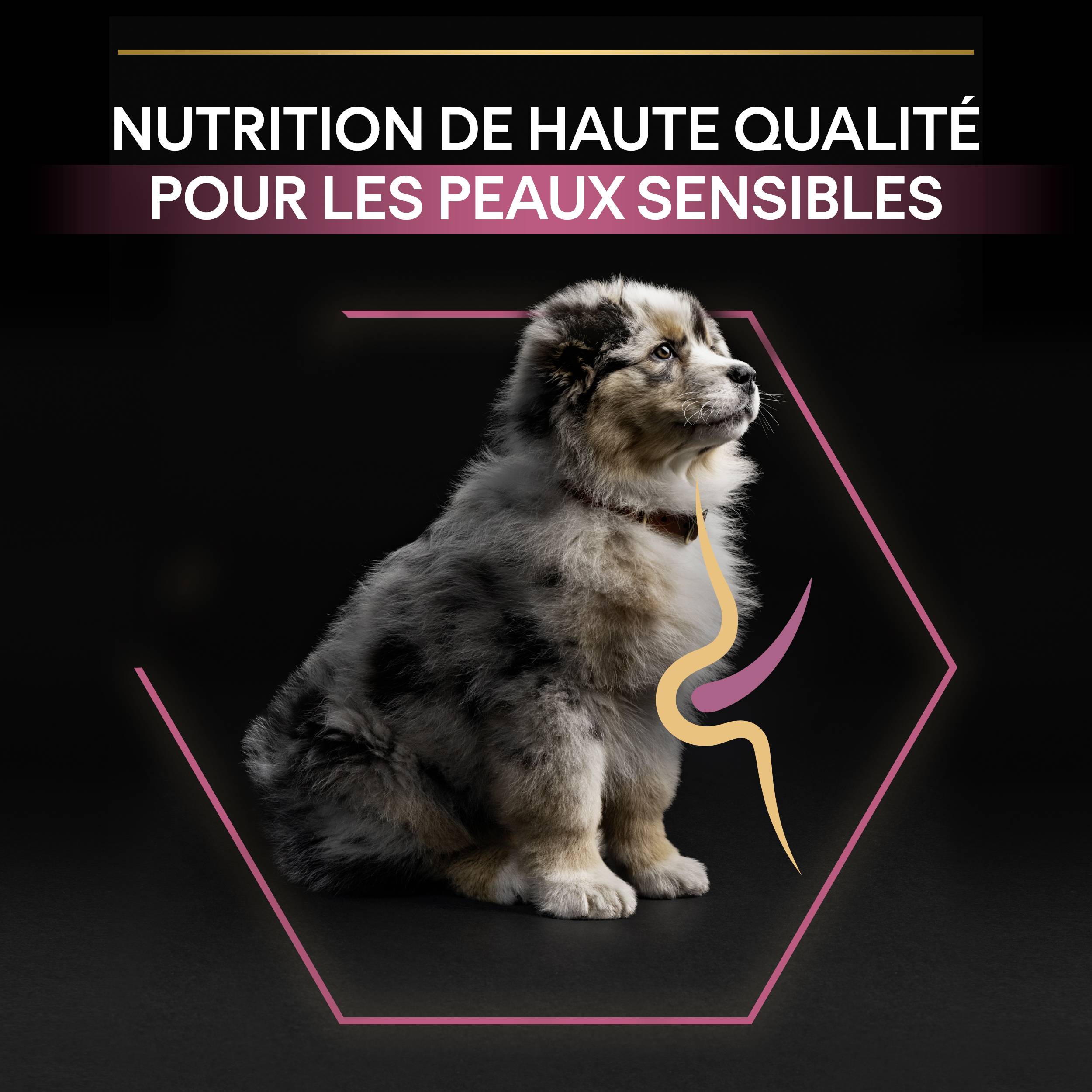 Purina Pro Plan - Croquettes chiot Sensitive Skin 3 kg - PRO PLAN - Image 3