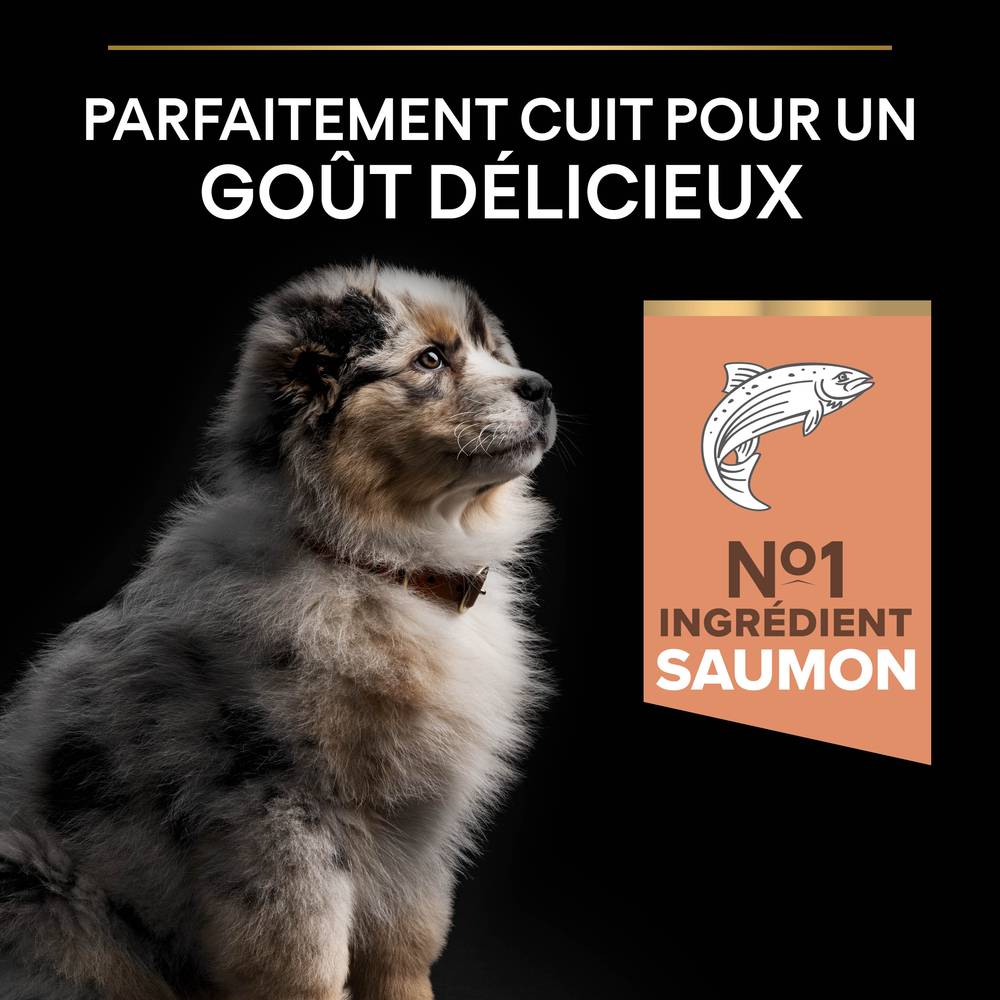 Purina Pro Plan - Croquettes chiot Sensitive Skin 3 kg  - PRO PLAN - Image 16