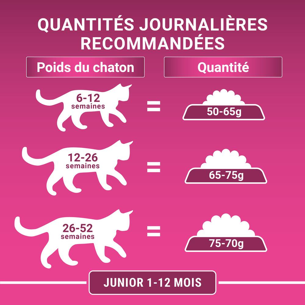 Purina One - Croquettes chaton Poulet Céréales 1,5 kg – PURINA ONE - Image 11