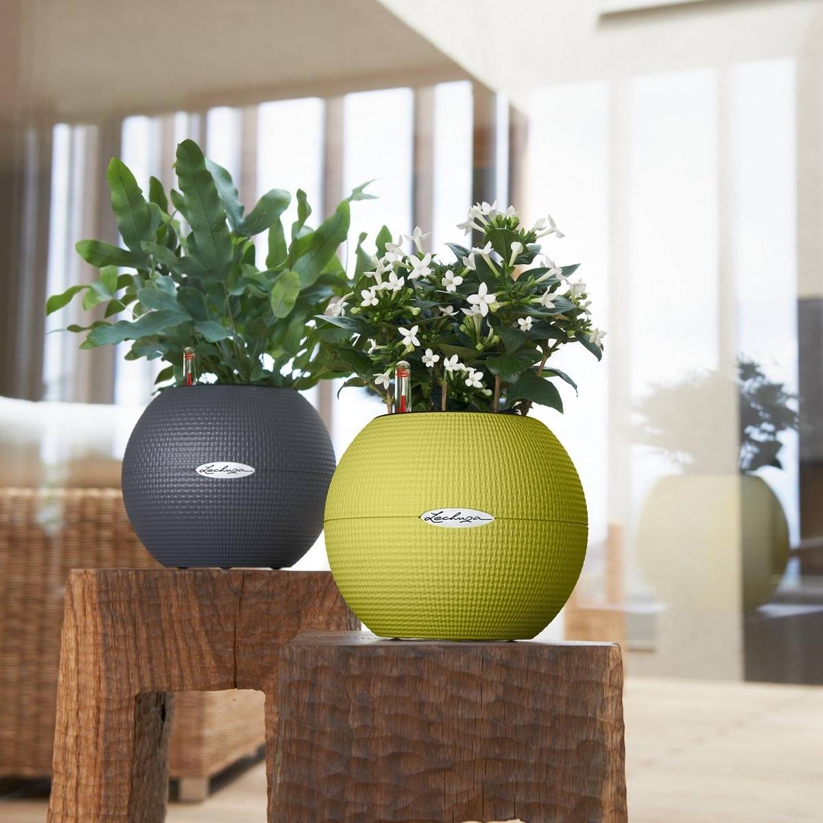 Pot de table PURO Color 20 en plastique gris ardoise Ø20xH.16 cm - Lechuza - Image 6