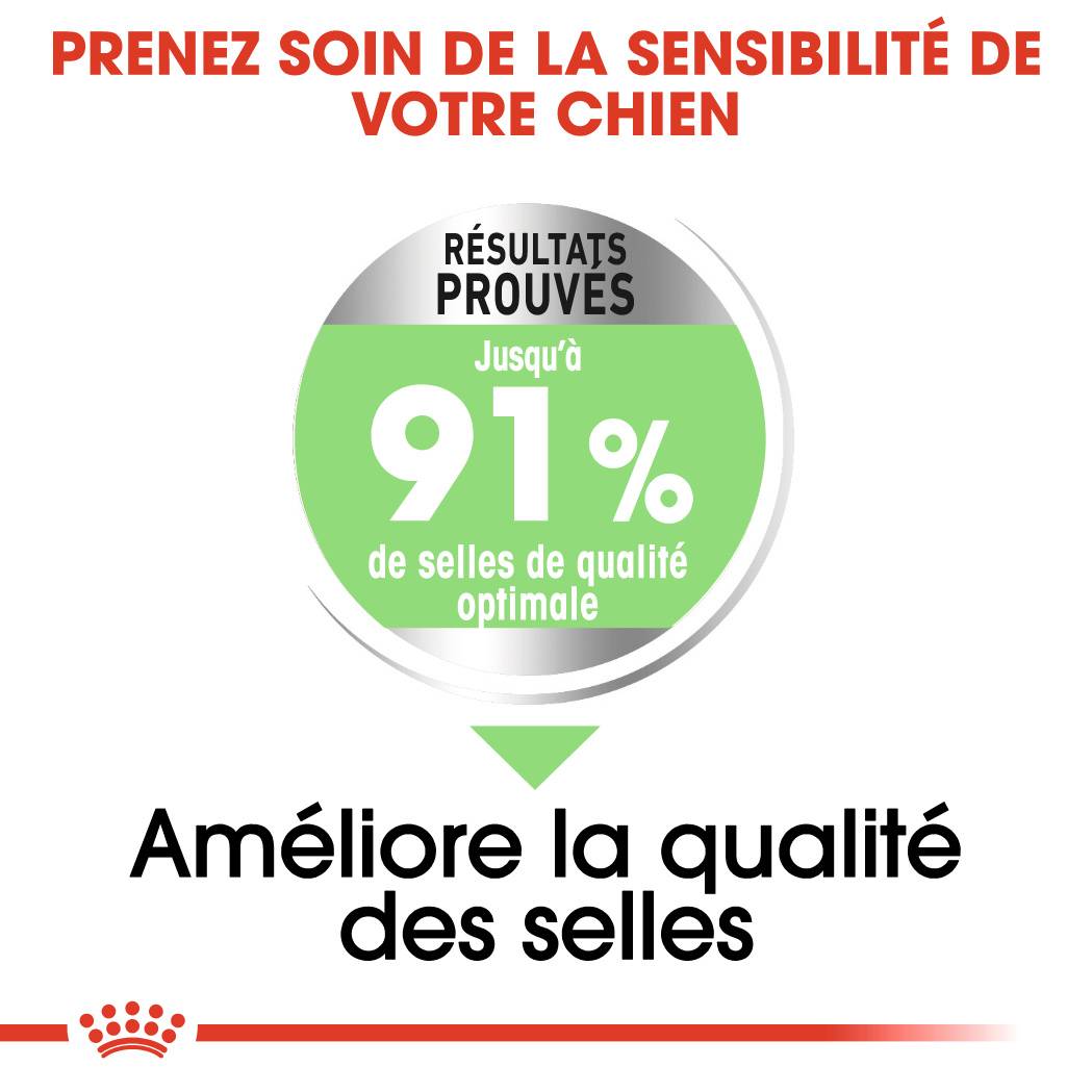 Royal Canin - Croquettes chien Medium Digestive Care - ROYAL CANIN - Image 4