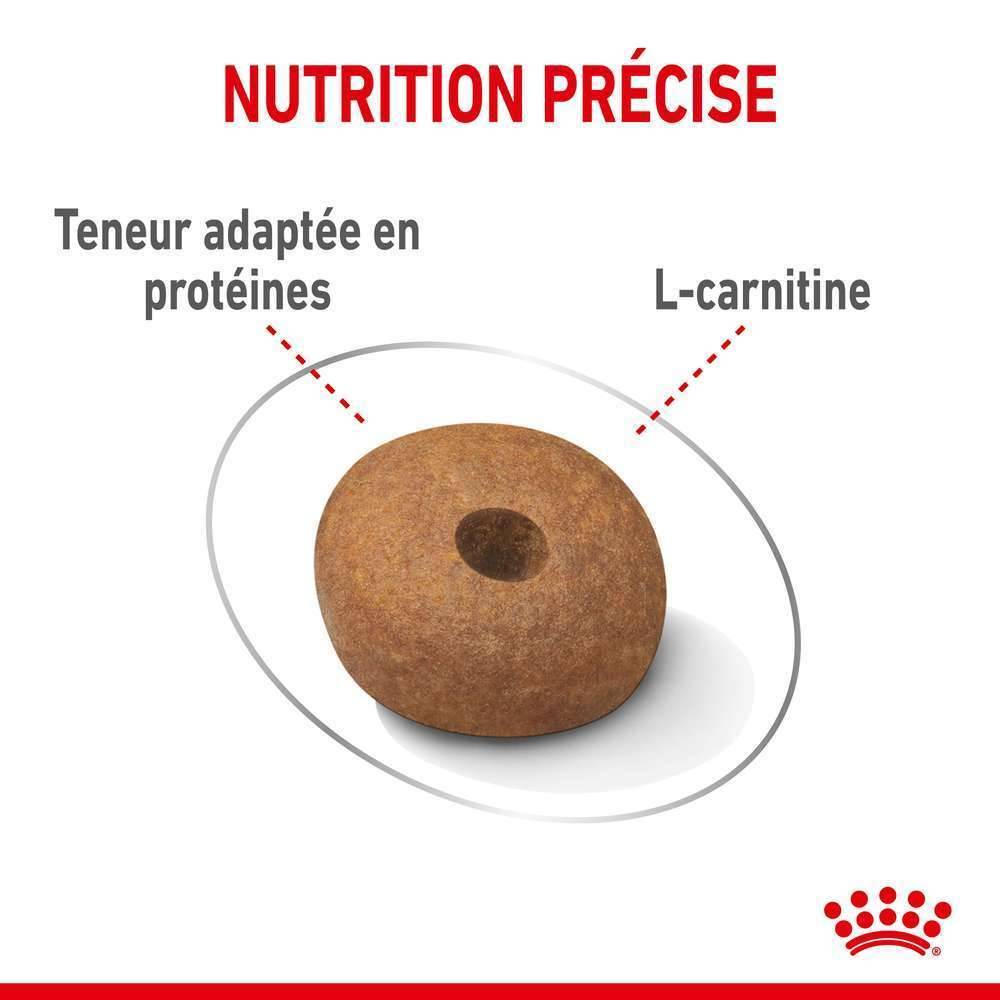 Royal Canin - Croquettes chien Medium Light Weight Care - ROYAL CANIN - Image 5