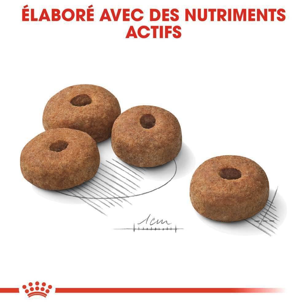 Royal Canin - Croquettes chien Maxi Sterilised ROYAL CANIN - Image 9