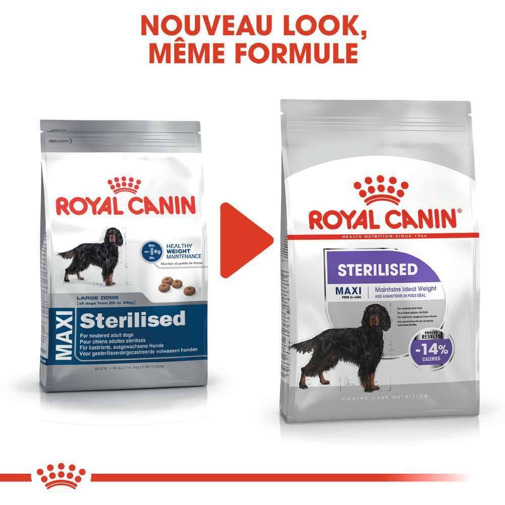 Royal Canin - Croquettes chien Maxi Sterilised ROYAL CANIN - Image 4