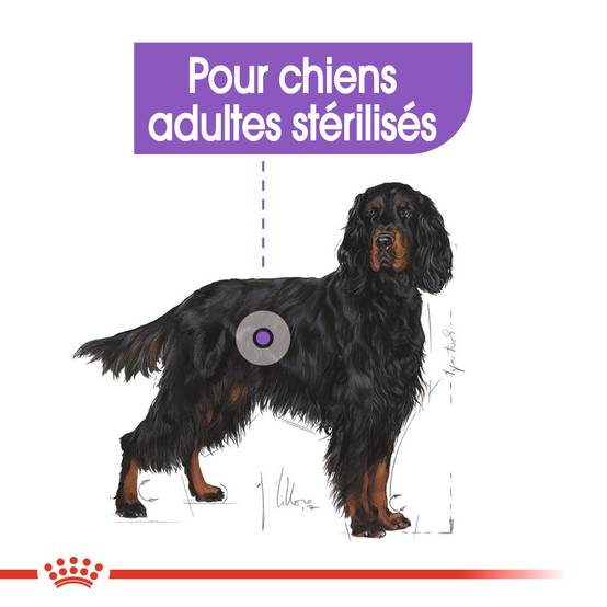 Royal Canin - Croquettes chien Maxi Sterilised ROYAL CANIN - Image 12