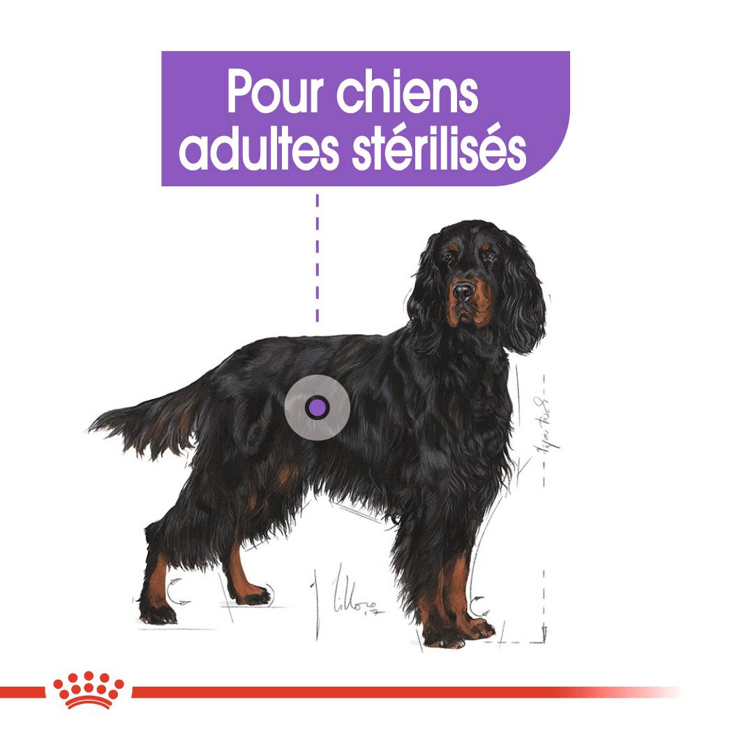 Royal Canin - Croquettes chien Maxi Sterilised ROYAL CANIN - Image 12