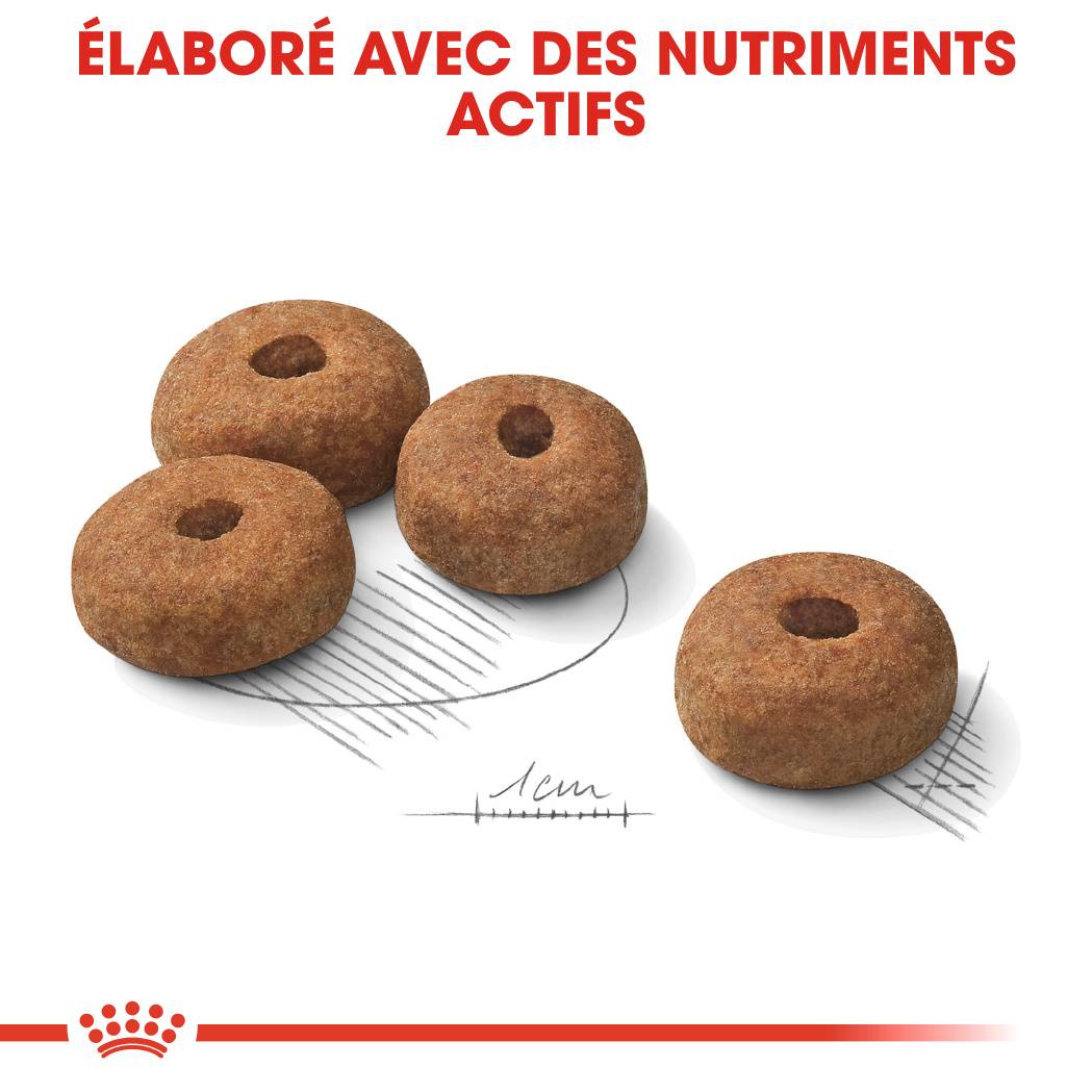 Royal Canin - Croquettes chien Maxi Sterilised ROYAL CANIN - Image 6