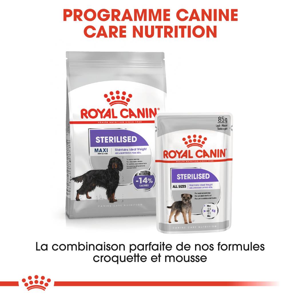 Royal Canin - Croquettes chien Maxi Sterilised ROYAL CANIN - Image 10