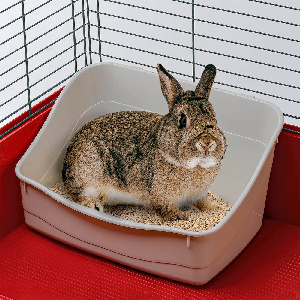 Ferplast - Bac à litière pour lapins en plastique grise - FERPLAST - Image 5