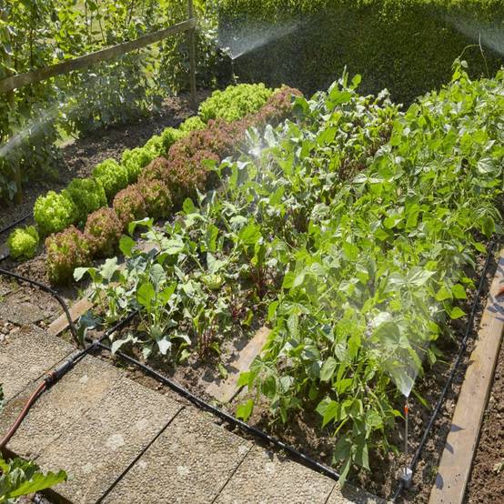 Kit d'arrosage goutte-à-goutte GARDENA pour massifs et potagers - Image 2