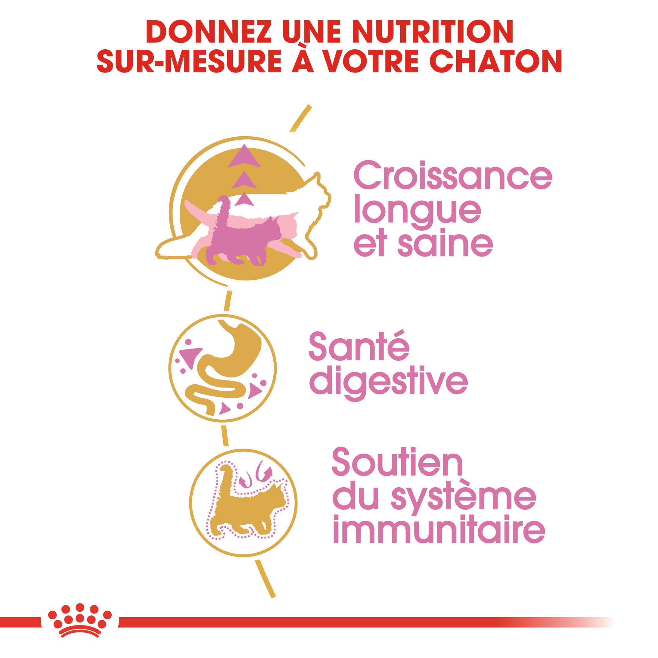 Royal Canin - Croquettes chat Maine Coon kitten – ROYAL CANIN - Image 4