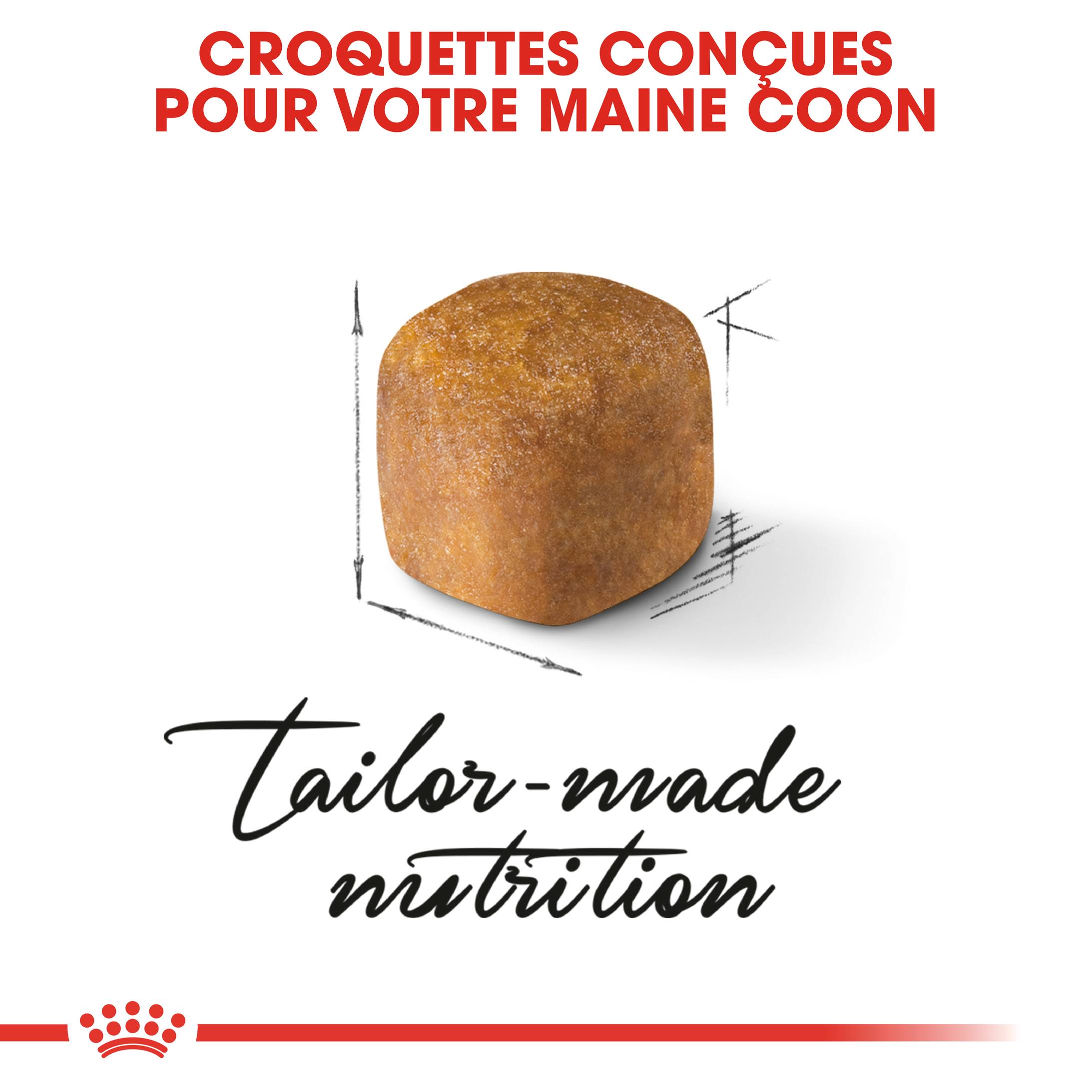 Royal Canin - Croquettes chat Maine Coon kitten – ROYAL CANIN - Image 2