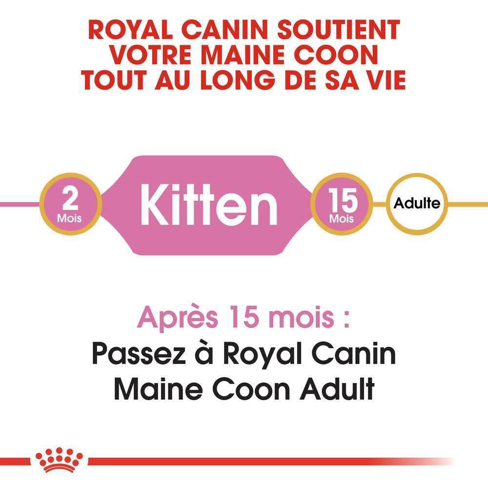 Royal Canin - Croquettes Chaton Maine Coon - ROYAL CANIN - Image 3