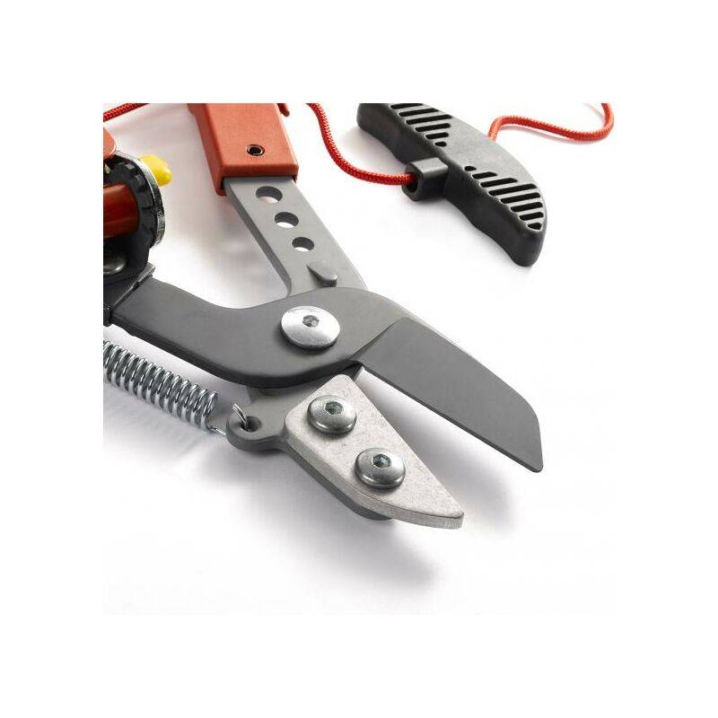 Outils Wolf - Échenilloir orientable à enclume coupe 40 mm et guide corde – Outils Wolf - Image 2