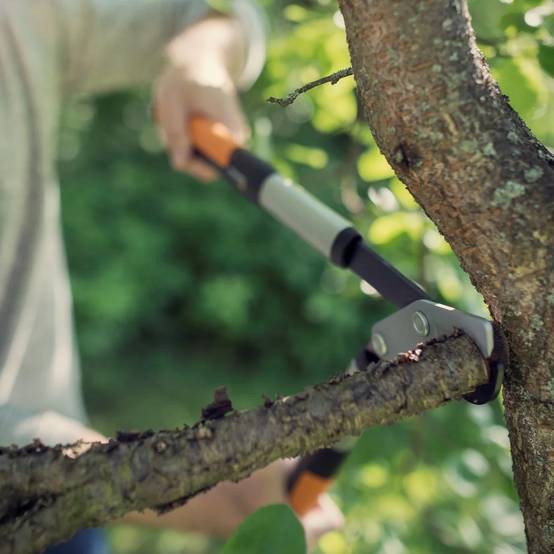 Fiskars - Coupe-branches à crémaillère et à lame franche PowerGear™ X M (LX94) - Fiskars - Image 11