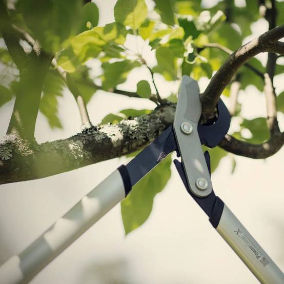 Fiskars - Coupe-branches à crémaillère et à lame franche PowerGear™ X M (LX94) - Fiskars - Image 12