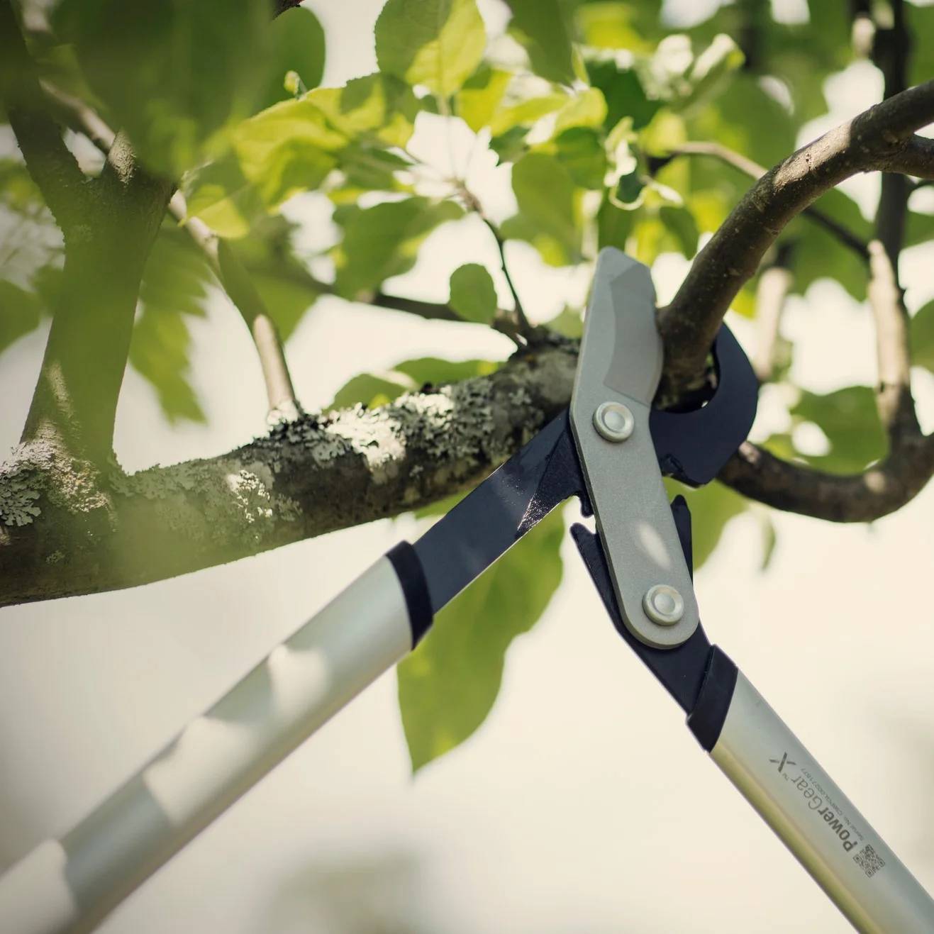 Fiskars - Coupe-branches à crémaillère et à lame franche PowerGear™ X M (LX94) - Fiskars - Image 12