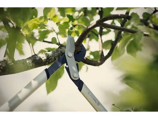 Fiskars - Coupe-branches à crémaillère et à lame franche PowerGear™ X M (LX94) - Fiskars - Image 3