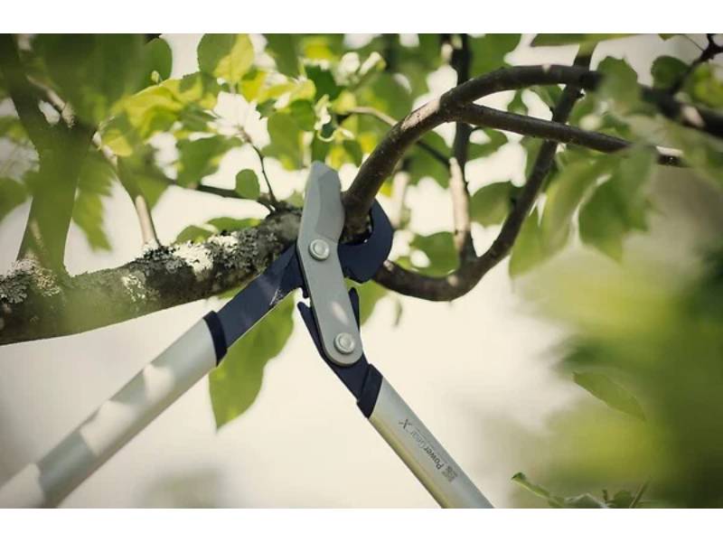 Fiskars - Coupe-branches à crémaillère et à lame franche PowerGear™ X M (LX94) - Fiskars - Image 3