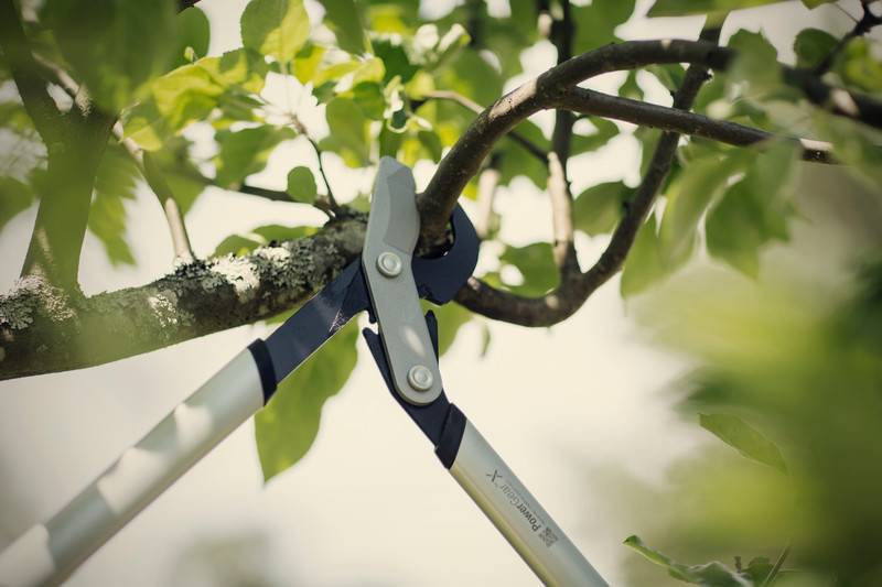 Fiskars - Coupe-branches à crémaillère et à lame franche  PowerGear™ X S (LX92) - Fiskars - Image 2