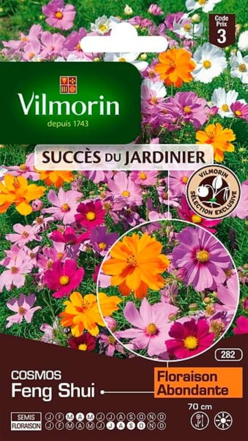 Vilmorin - Cosmos Feng shui en mélange série 3 sachet graines 2 g - Vilmorin - Image 2