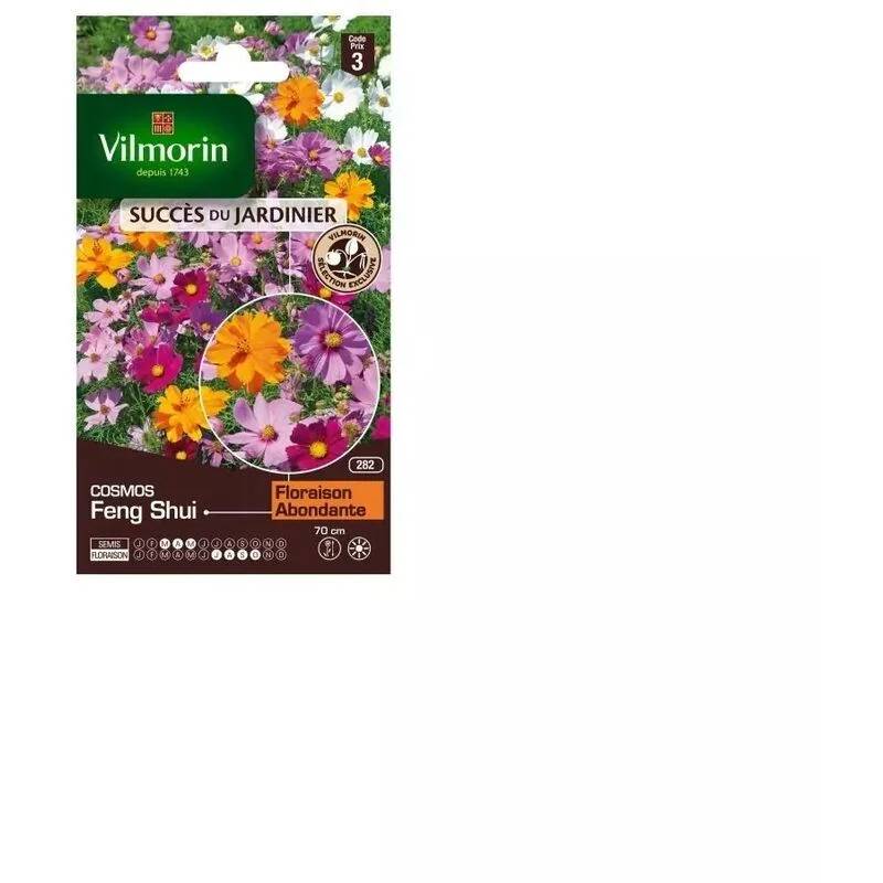 Vilmorin - Cosmos Feng shui en mélange série 3 sachet graines 2 g - Vilmorin - Image 4