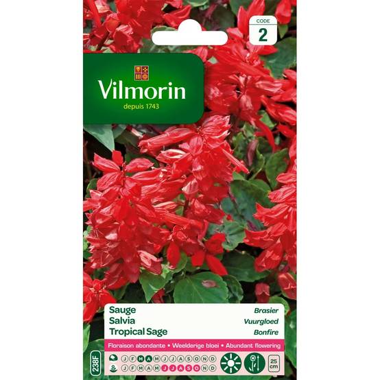 Vilmorin - Sauge brasier série 2 sachet graines 0,8 g - Vilmorin - Image 2