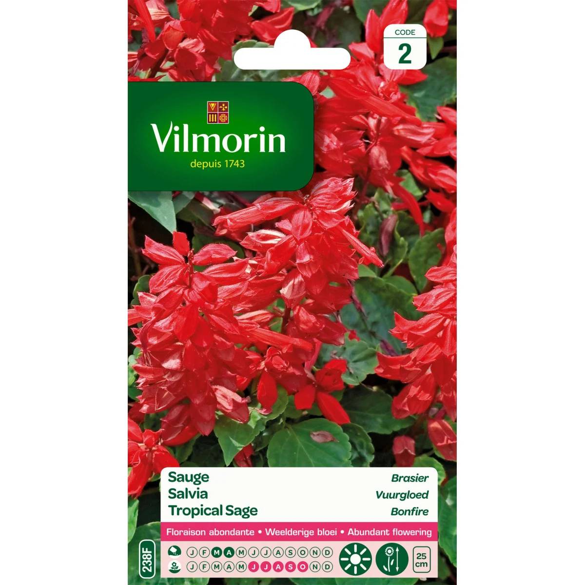 Vilmorin - Sauge brasier série 2 sachet graines 0,8 g - Vilmorin - Image 2