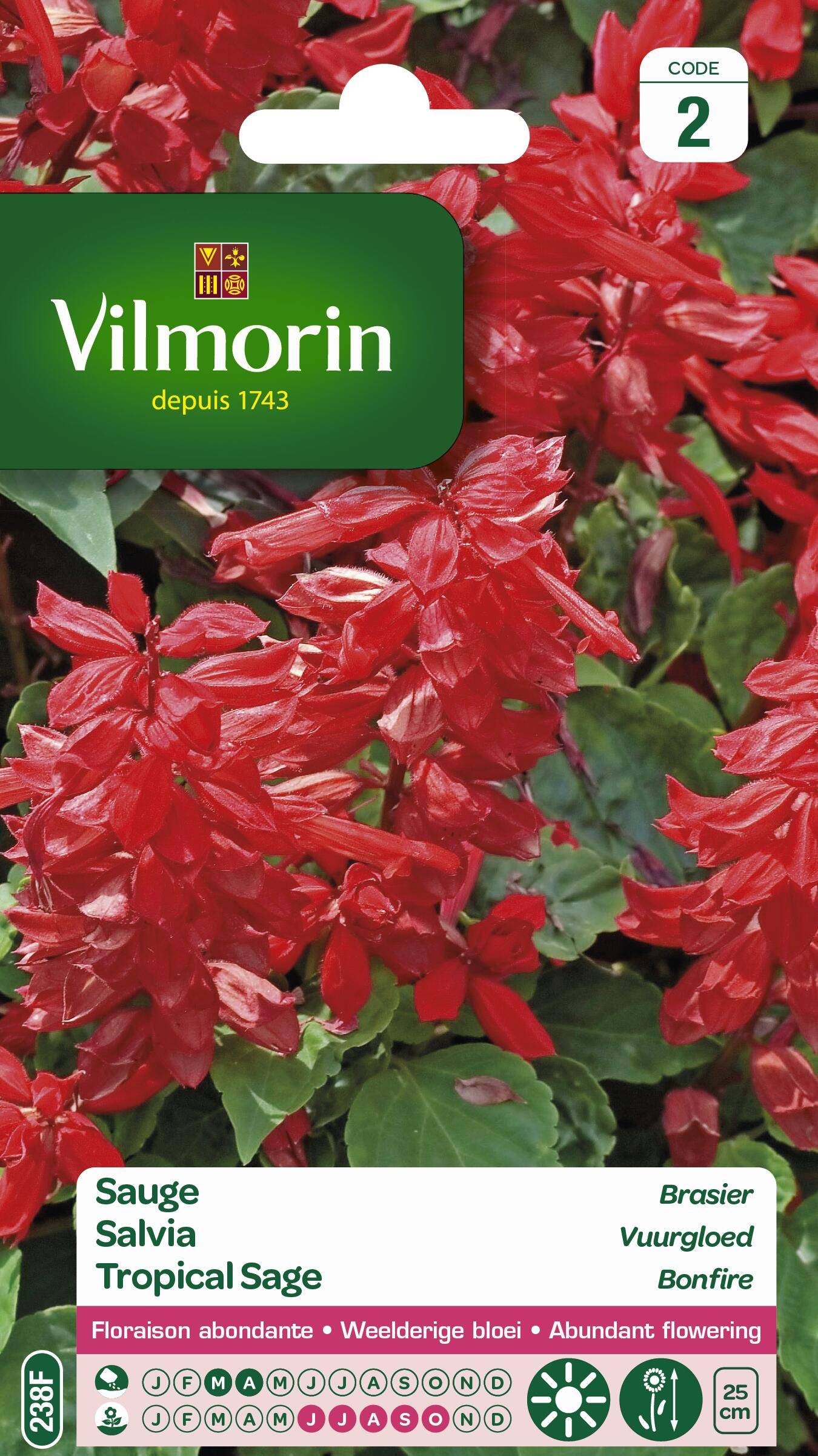 Vilmorin - Sauge brasier série 2 sachet graines 0,8 g - Vilmorin - Image 1