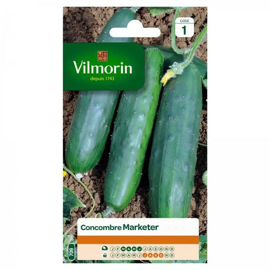 Vilmorin - Concombre marketer série 1 sachet graines 3 g - Vilmorin - Image 2