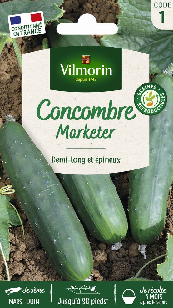 Vilmorin - Concombre marketer série 1 sachet graines 3 g - Vilmorin - Image 3