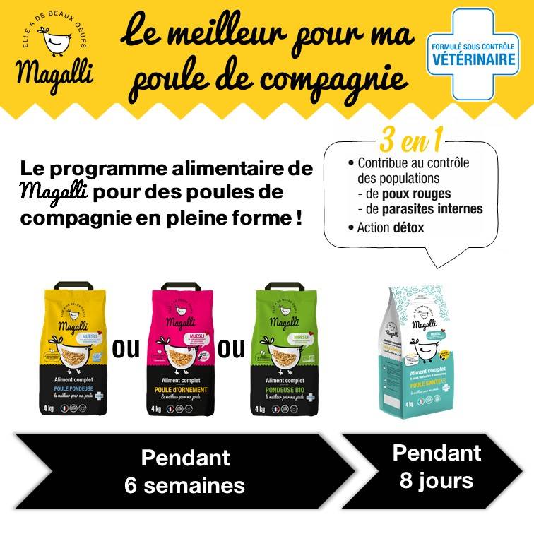 Magalli - Magalli - Aliment complet pour poule d'ornement - 4 kg - Image 5