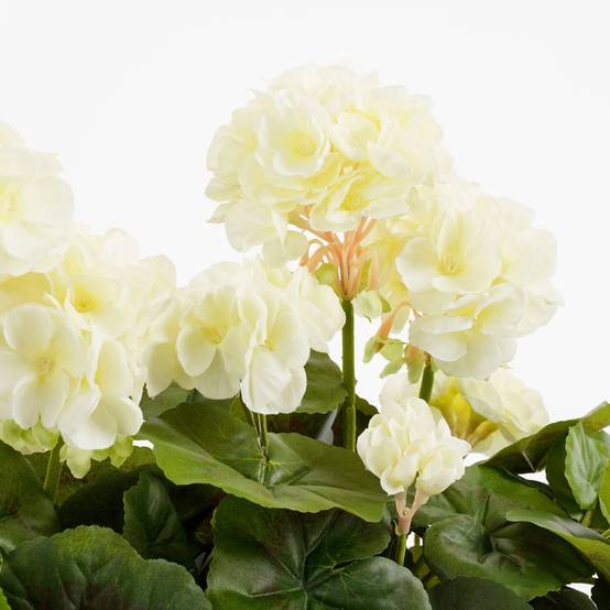 Mica Decorations - Géranium blanc artificiel en jardinière L.29 x l.13 x H.40 cm - Image 4