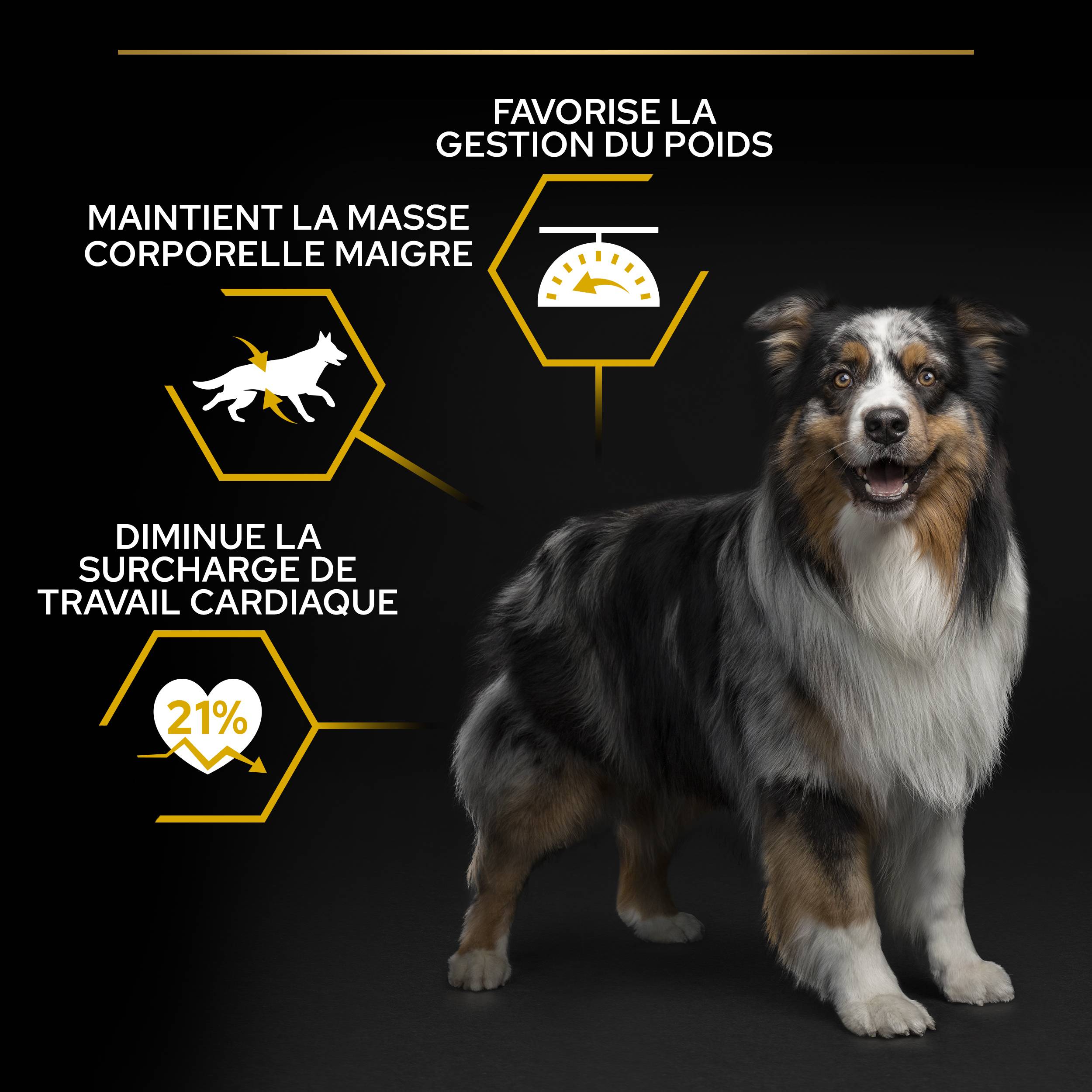 Purina Pro Plan - Croquettes chien Adulte Toutes Tailles Stérilisé Poulet 14 kg + 2 kg offerts - PRO PLAN - Image 5