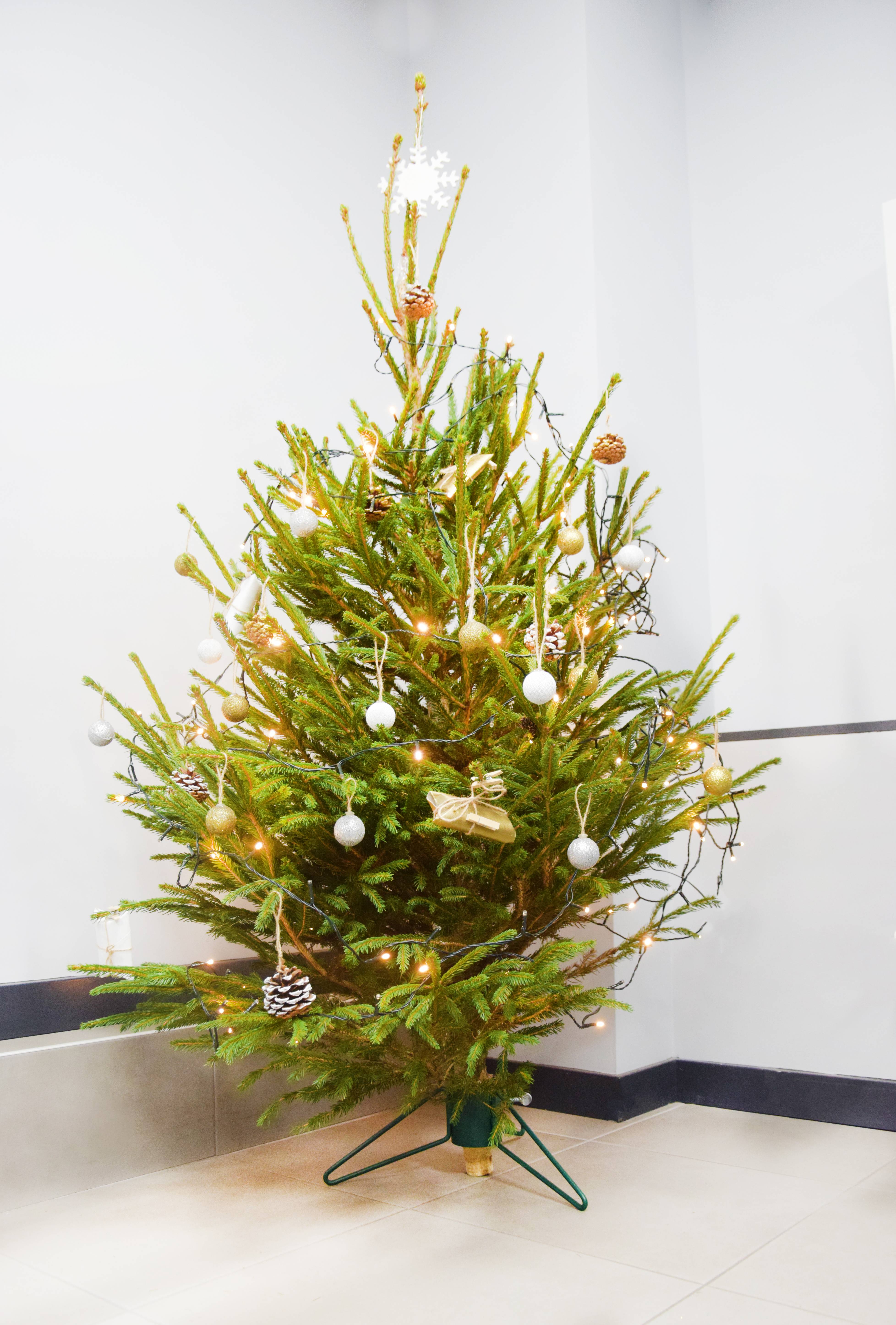 Louis Moulin - Pied de sapin 3 pieds fer rond Vert sapin tube ⌀ 7 cm - Image 3