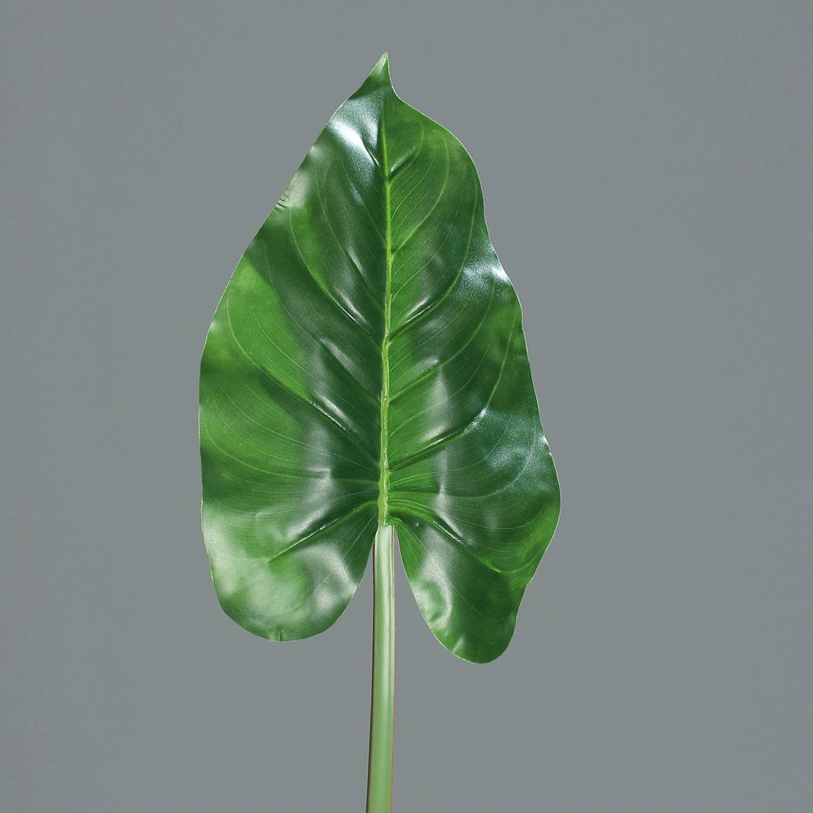 Feuille de calla artificielle verte L.73 cm, avec feuille 30 cm - Gamm vert