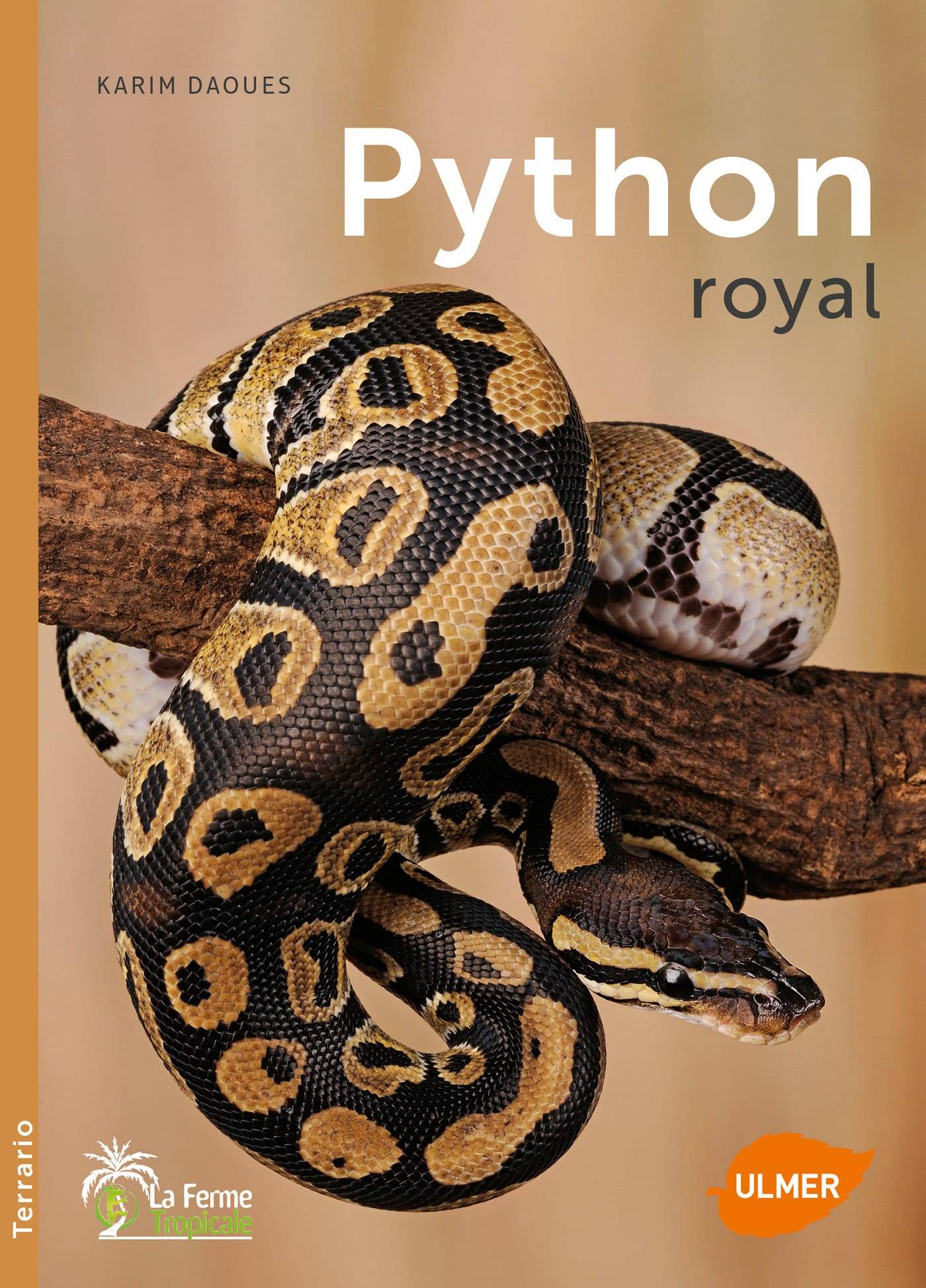 Ulmer - Python royal