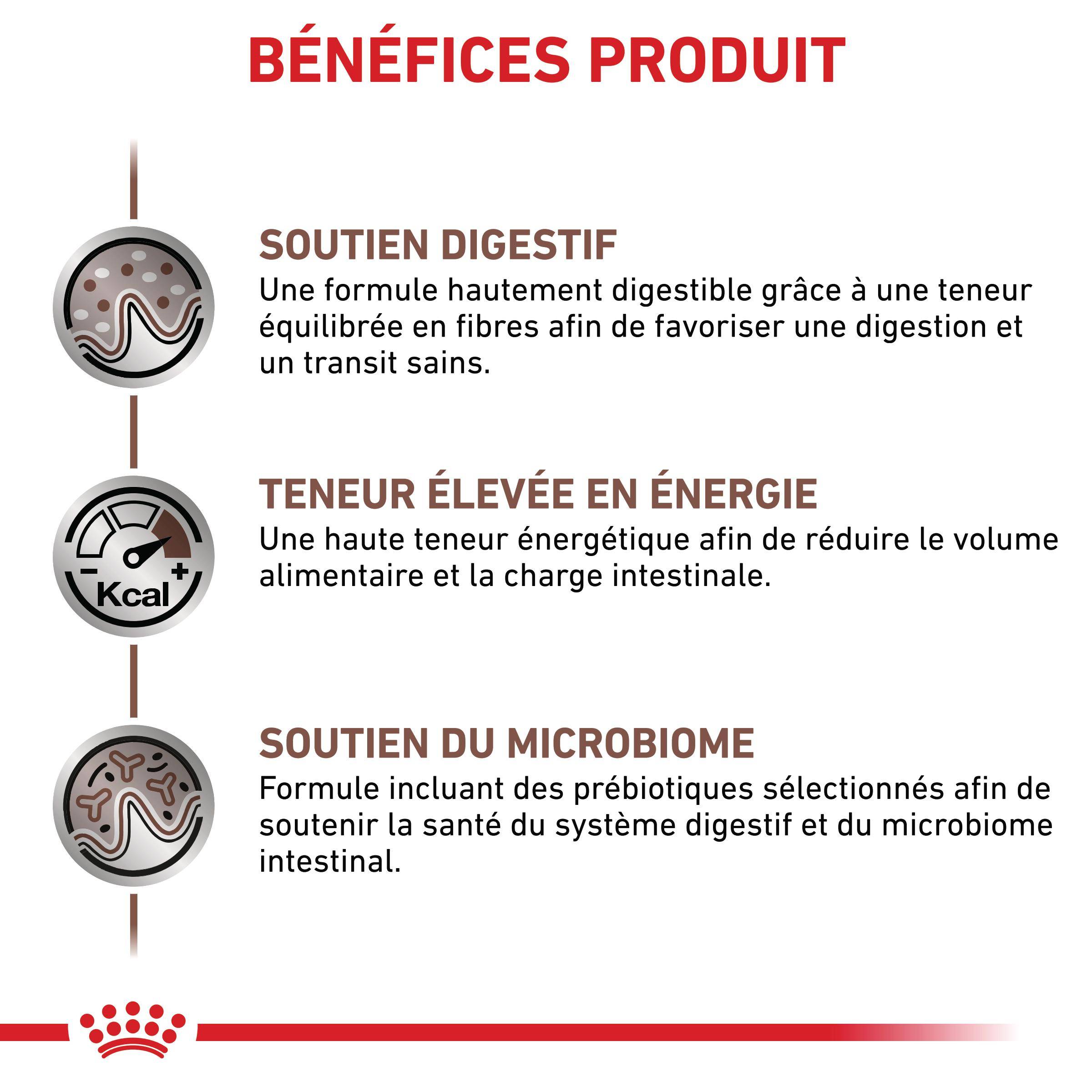 Aliment Diététique Chat Gastro Intestinal - ROYAL CANIN - Image 2