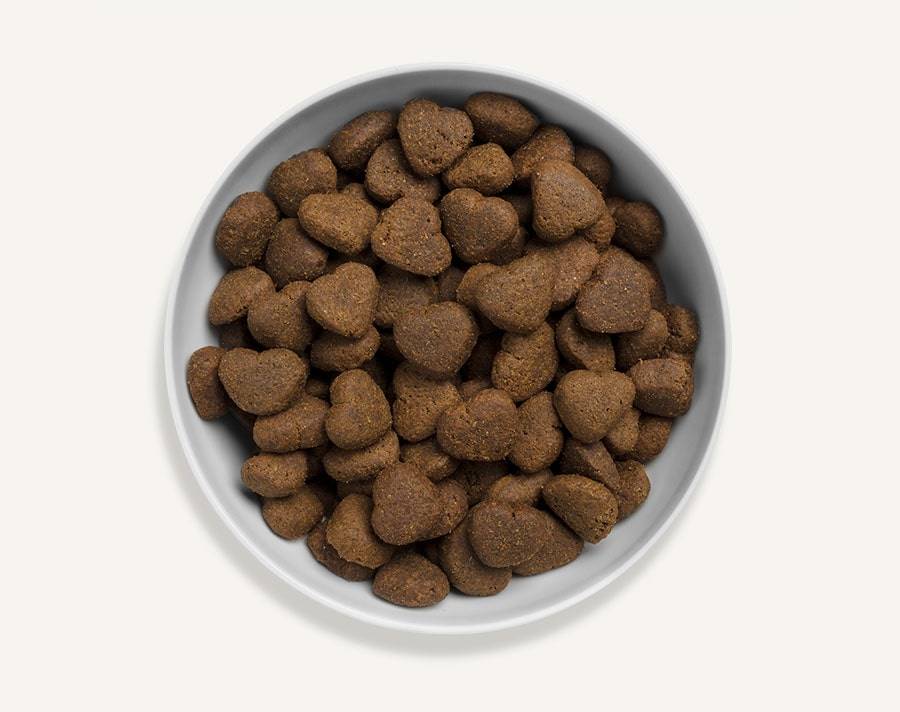 Canagan - Canagan - Croquettes ss céréales gd chien au poulet fermier 2kg - Image 2