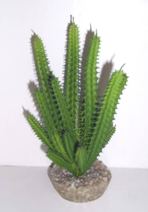 Labéo - Labeo - Décor Plantes Succulentes artificielles plusieurs modèles - Image 3