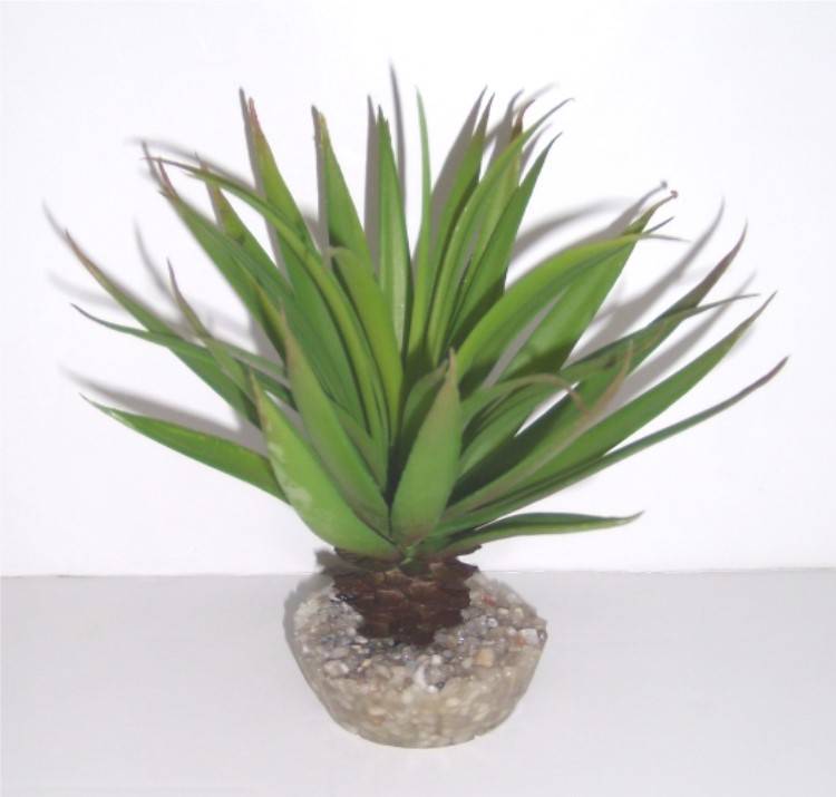 Labéo - Labeo - Décor Plantes Succulentes artificielles plusieurs modèles - Image 6