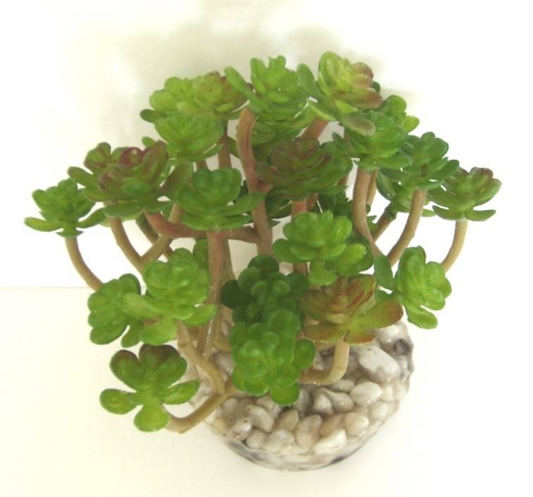 Labéo - Labeo - Décor Plantes Succulentes artificielles plusieurs modèles - Image 2