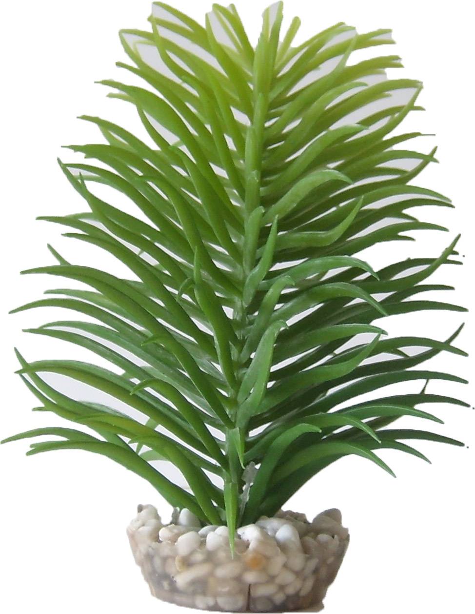 Labéo - Labeo - Décor Plantes Succulentes artificielles plusieurs modèles - Image 4