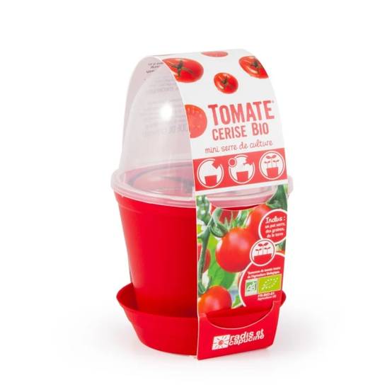 Kit de semis Pot Cloche – RADIS ET CAPUCINE - Image 4